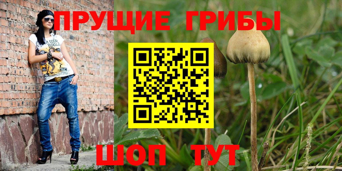 Галлюциногенные грибы Psilocybine cubensis  Псилоцибиновые грибы мухоморы  Вход с VPN  Алейск 